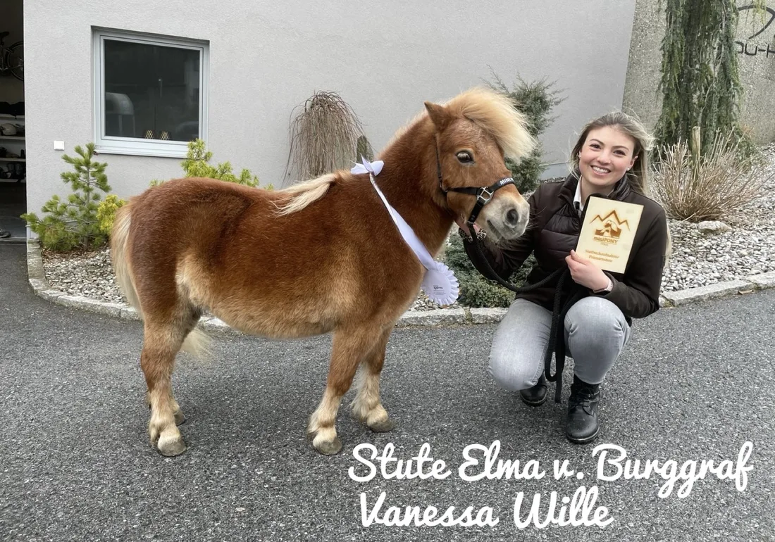 Mini Pony Tyrol Vereinsmoment